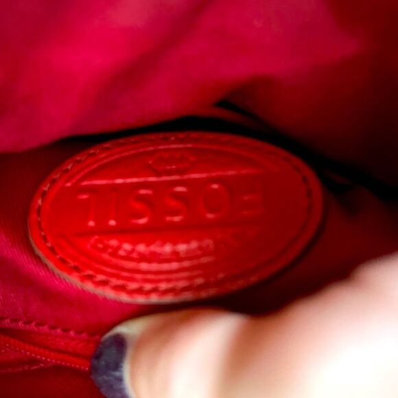 NWOT Beautiful Fossil Crossbody Bag - Picture 7 of 16